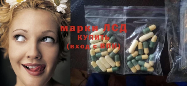 a pvp Новозыбков