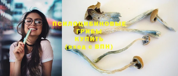 прущая мука Нея