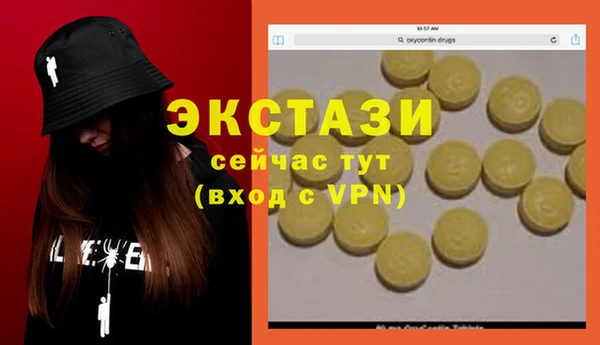 a pvp Новозыбков