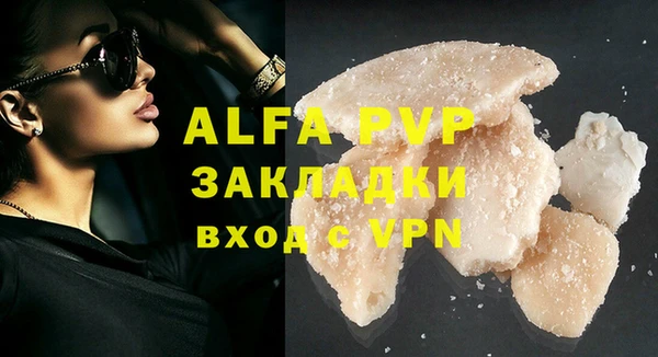 a pvp Новозыбков