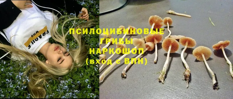 MEGA ссылки  Новоаннинский  Галлюциногенные грибы ЛСД  наркошоп 